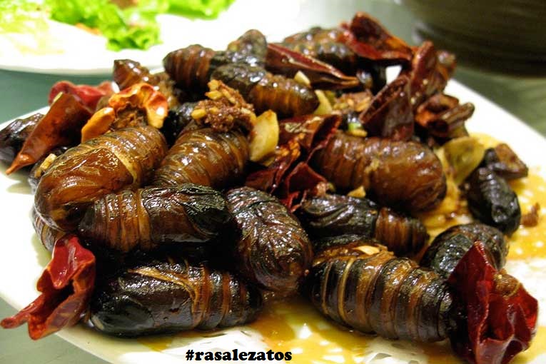 kepoan.com-7-makanan-teraneh-di-dunia-yang-bikin-bergidik-7-kepompong-panggang-765x510